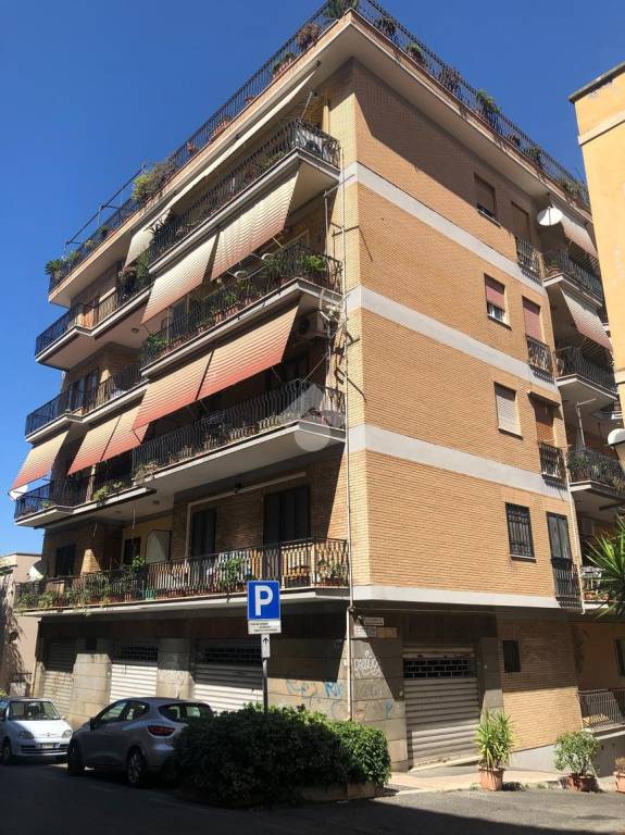 appartamento in vendita a Marino