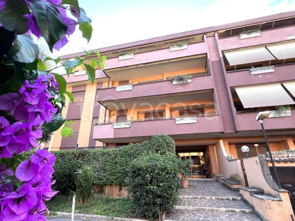 appartamento in vendita a Marino