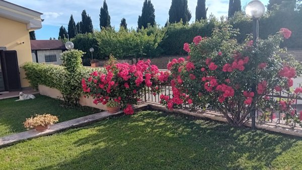 casa indipendente in vendita a Marino