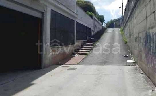 ufficio in vendita a Marino in zona Castelluccia