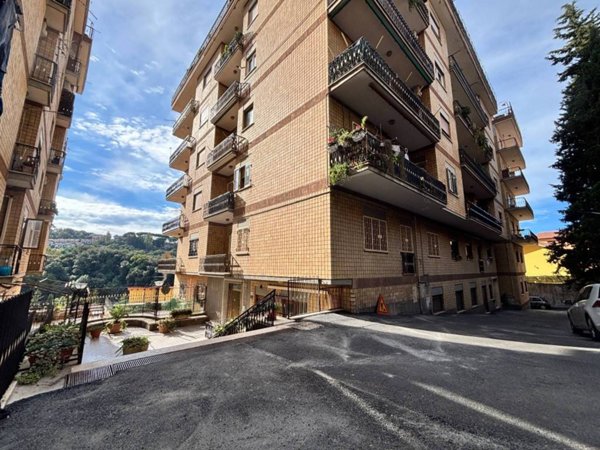 appartamento in vendita a Marino