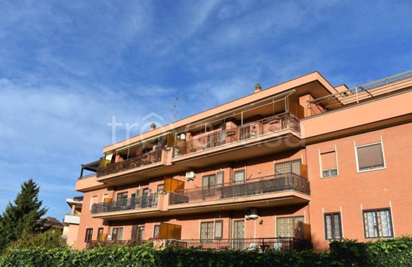 appartamento in vendita a Marino