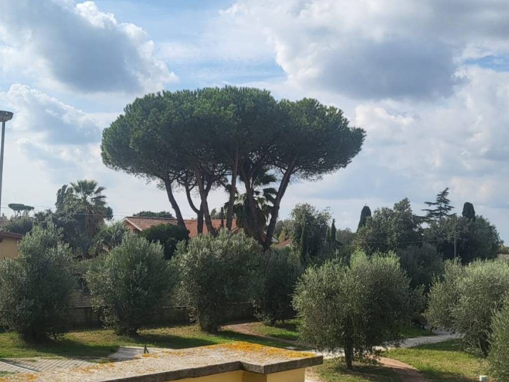 appartamento in vendita a Marino in zona Frattocchie