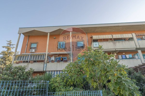 appartamento in vendita a Marino