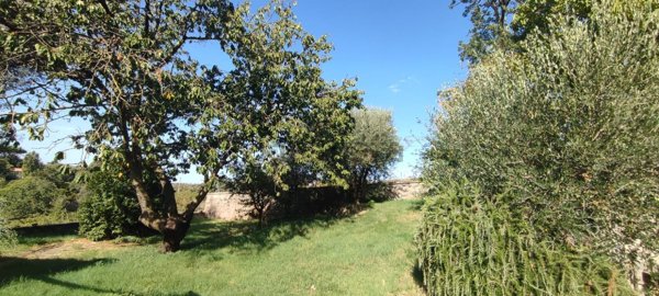 terreno agricolo in vendita a Marino