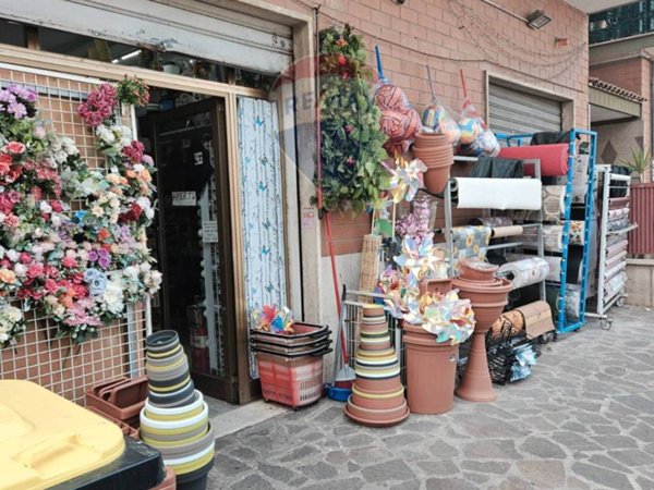 negozio in vendita a Marino in zona Santa Maria delle Mole