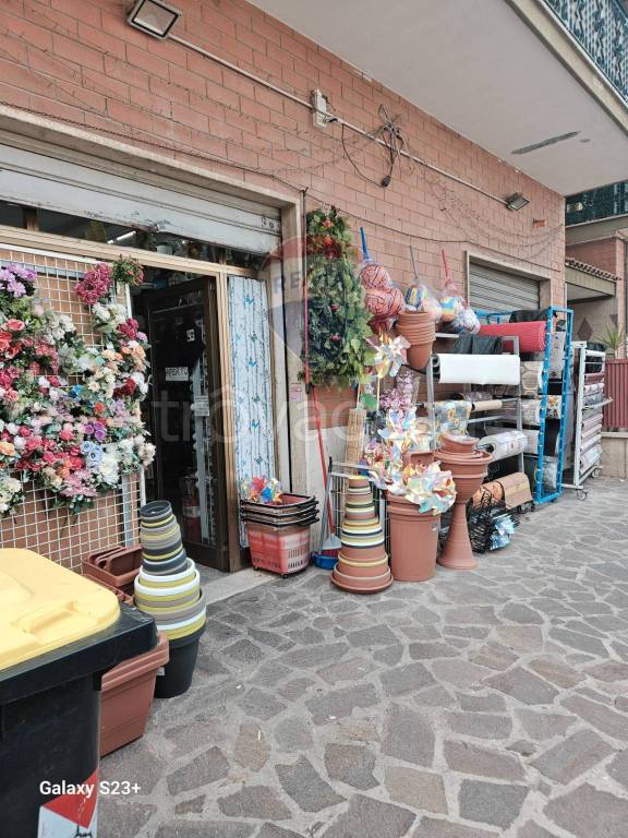 negozio in vendita a Marino in zona Santa Maria delle Mole