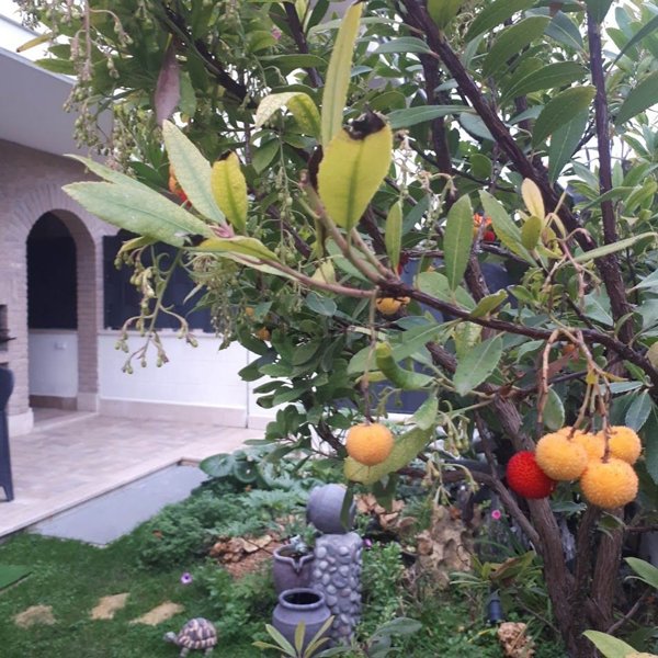 casa indipendente in vendita a Marino