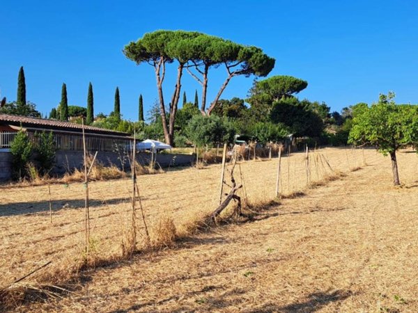terreno agricolo in vendita a Marino in zona Castelluccia