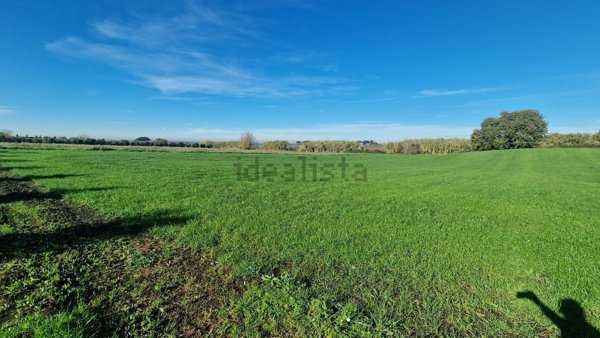 terreno agricolo in vendita a Marino in zona Castelluccia