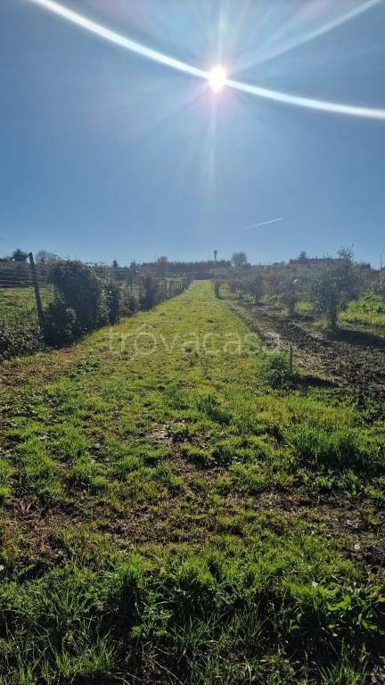 terreno agricolo in vendita a Marino in zona Castelluccia