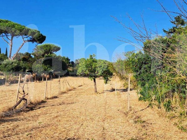 terreno agricolo in vendita a Marino in zona Castelluccia