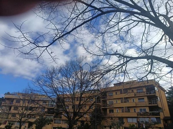 appartamento in vendita a Marino