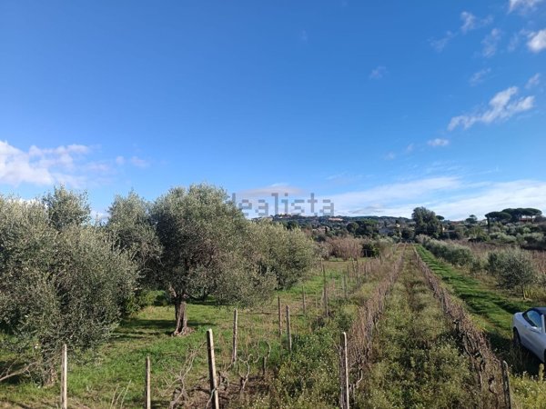 casale in vendita a Marino