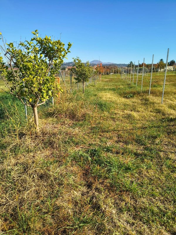 terreno in vendita a Marino