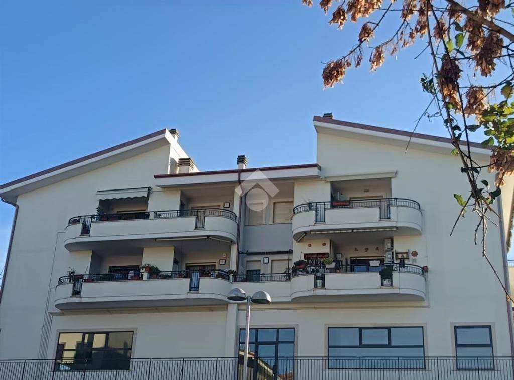 appartamento in vendita a Marino