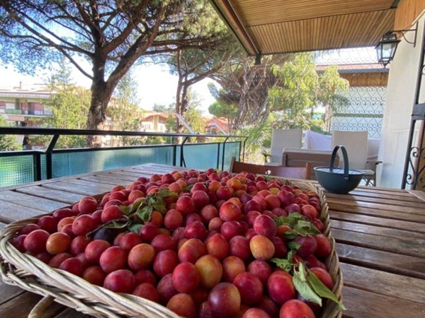 appartamento in vendita a Marino