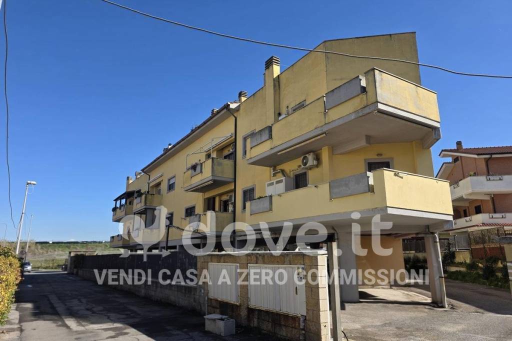 immagine annuncio 0 di 1