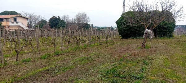 terreno agricolo in vendita a Marino