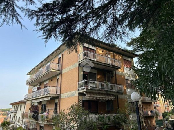 appartamento in vendita a Marino