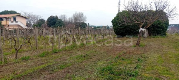 terreno agricolo in vendita a Marino in zona Castelluccia