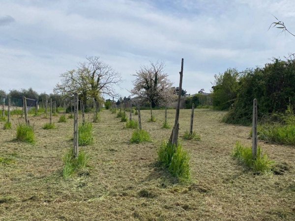 terreno agricolo in vendita a Marino in zona Cava dei Selci