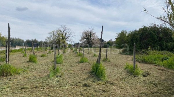 terreno agricolo in vendita a Marino in zona Due Santi