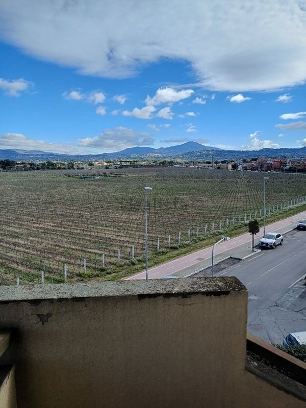 appartamento in vendita a Marino