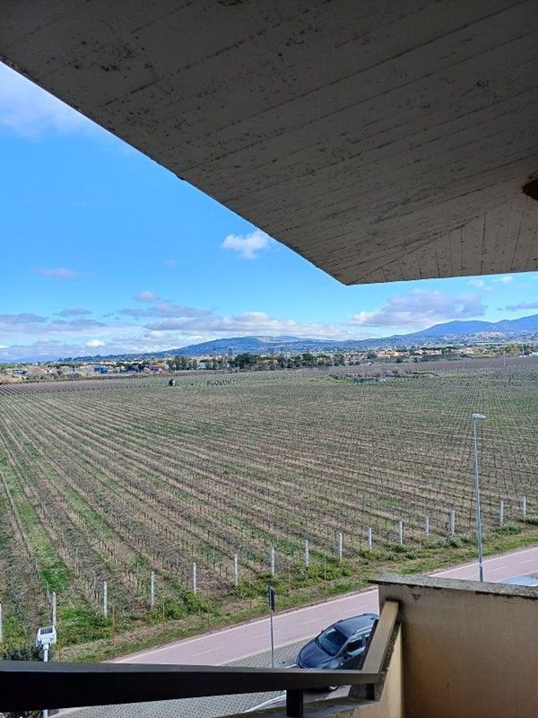 appartamento in vendita a Marino