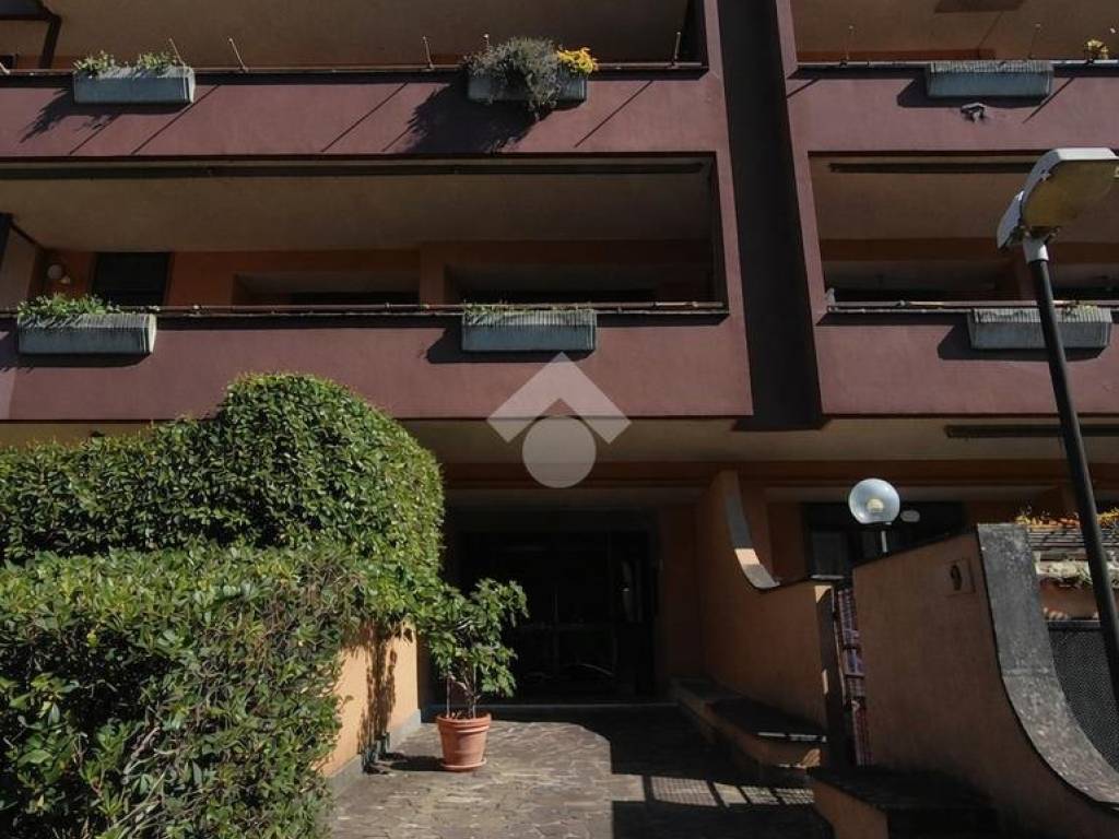 appartamento in vendita a Marino