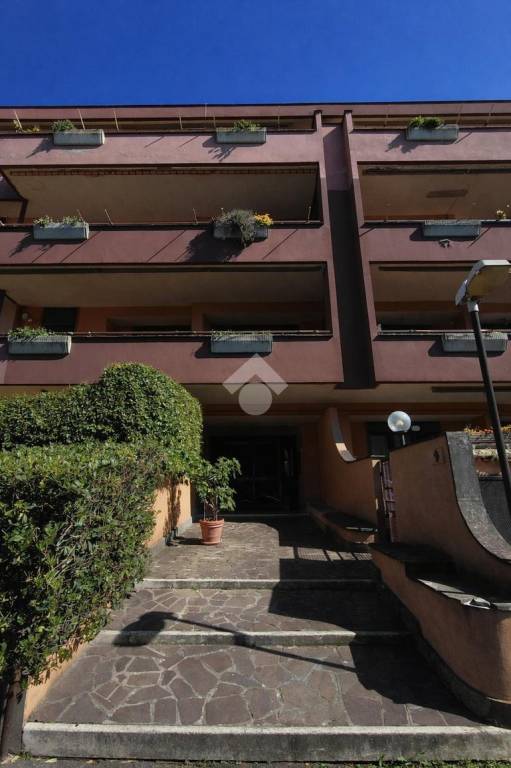 appartamento in vendita a Marino