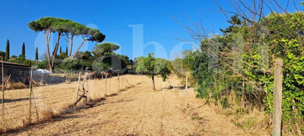 terreno agricolo in vendita a Marino in zona Castelluccia