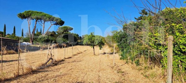 terreno agricolo in vendita a Marino in zona Castelluccia