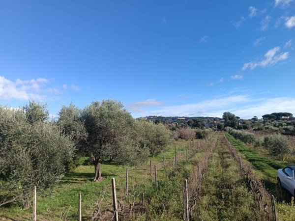 locale di sgombero in vendita a Marino in zona Frattocchie