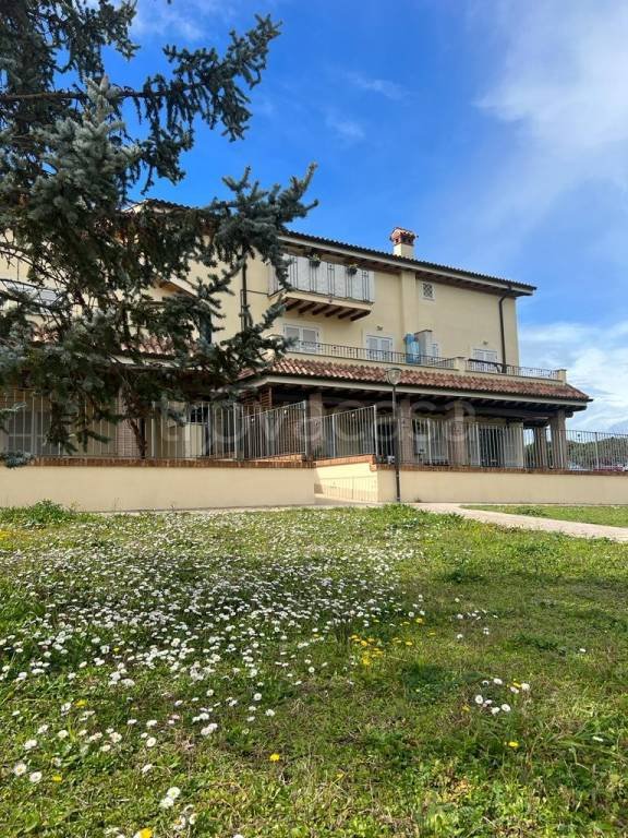 appartamento in vendita a Marino in zona Castelluccia