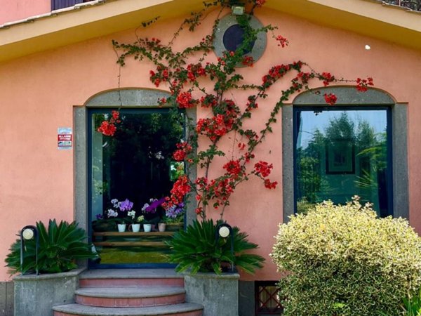 casa indipendente in vendita a Marino in zona Cava dei Selci