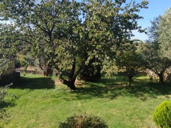 terreno agricolo in vendita a Marino