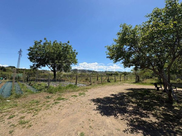 terreno agricolo in vendita a Marino in zona Due Santi