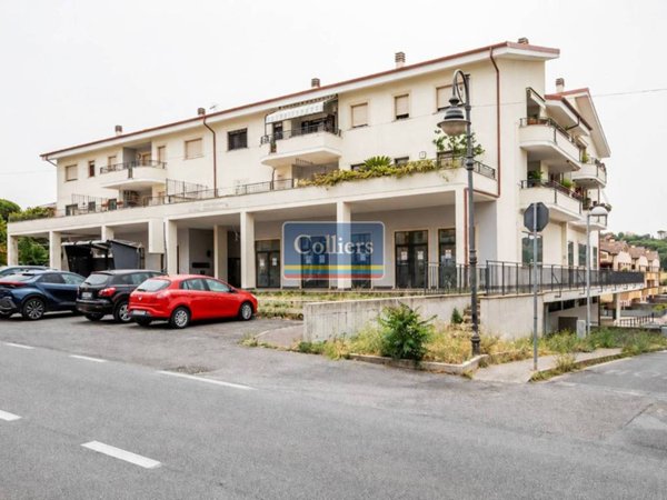 appartamento in vendita a Marino