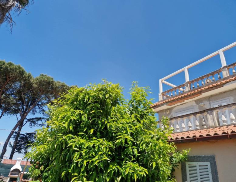 appartamento in vendita a Marino