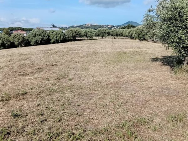 terreno agricolo in vendita a Marino in zona Santa Maria delle Mole