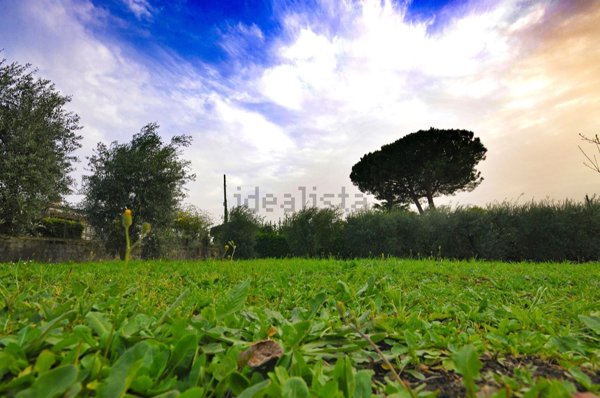 appartamento in vendita a Marino