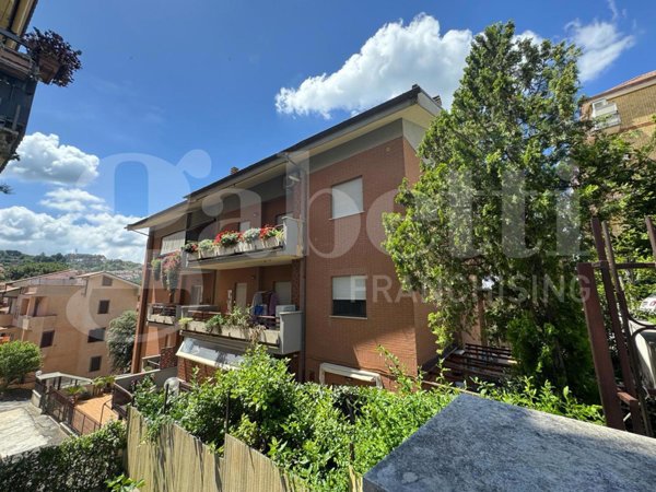 appartamento in vendita a Marino