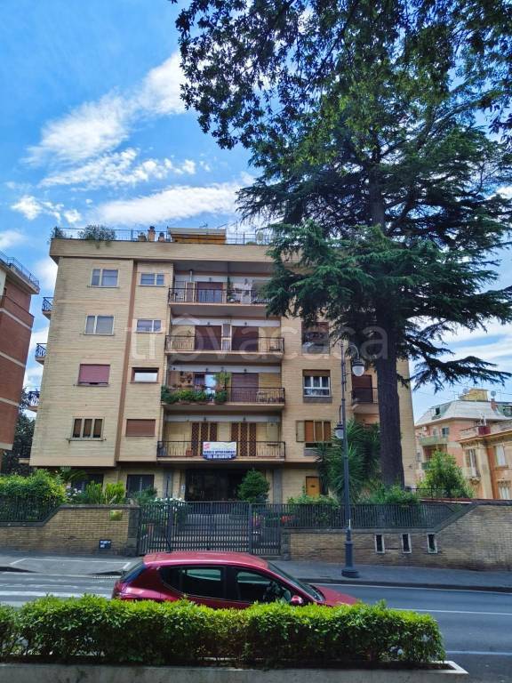 appartamento in vendita a Marino