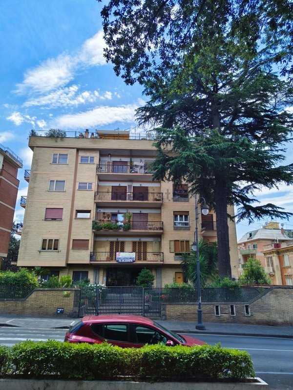 appartamento in vendita a Marino