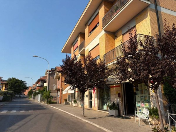 appartamento in vendita a Marino in zona Cava dei Selci