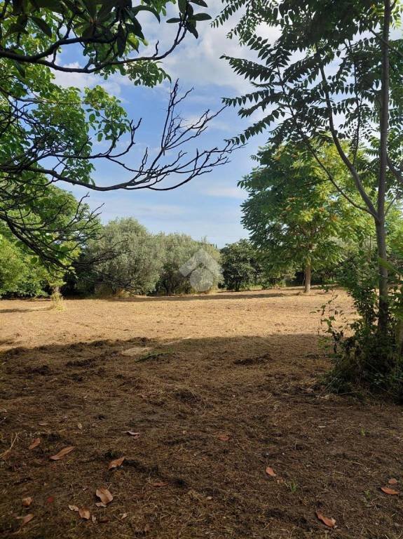 terreno agricolo in vendita a Marino