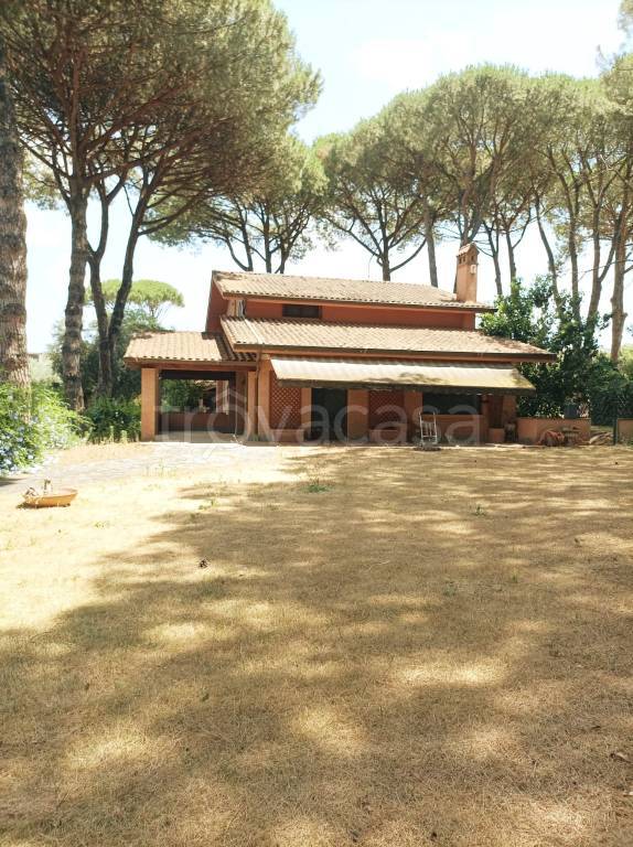 casa indipendente in vendita a Marino in zona Due Santi
