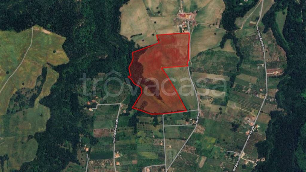 terreno agricolo in vendita a Mazzano Romano