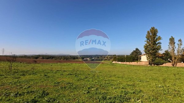 terreno agricolo in vendita a Mazzano Romano